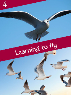B4 Learning to fly